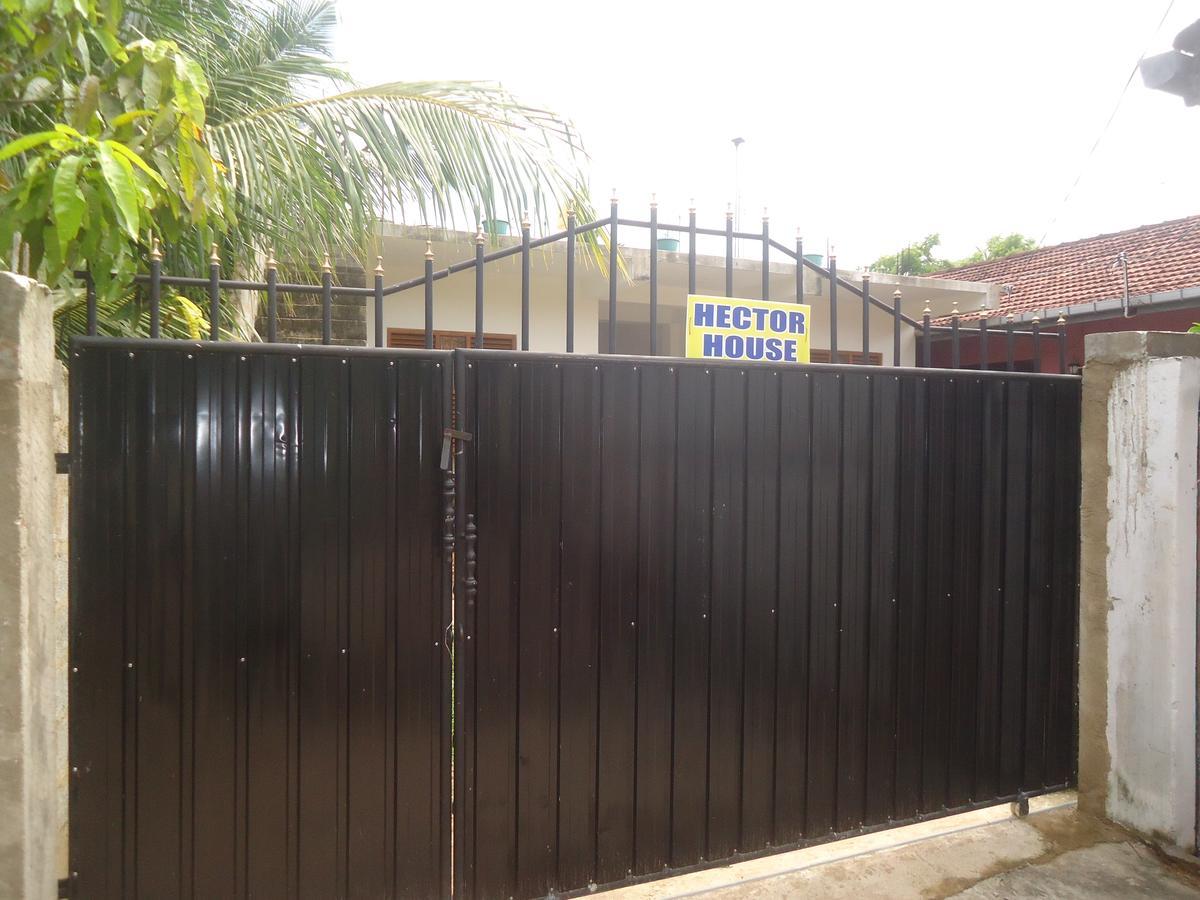 Hector House Hotel Weligama Luaran gambar
